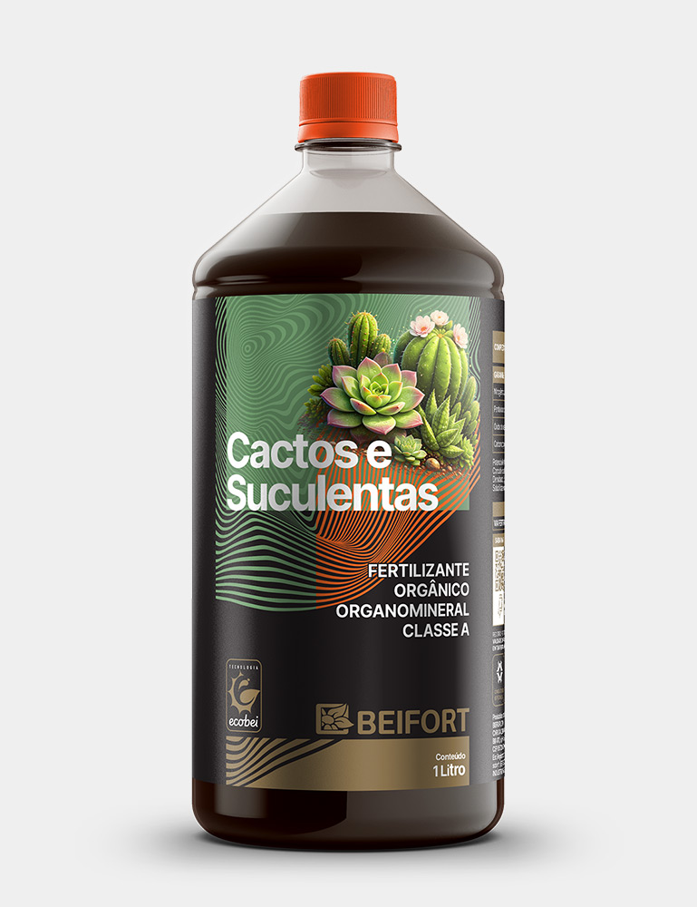 Cactos e suculantas