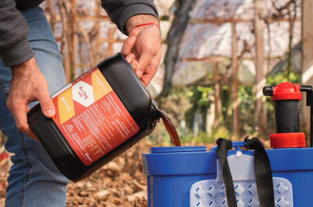 Continuar expandindo