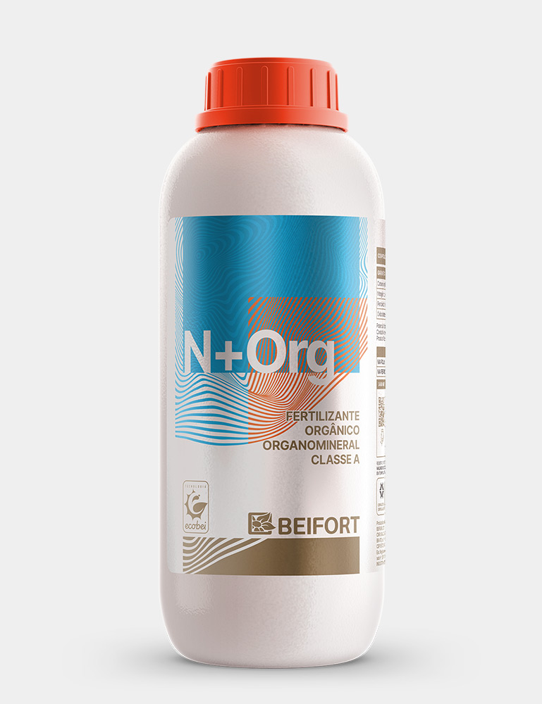 N+Org