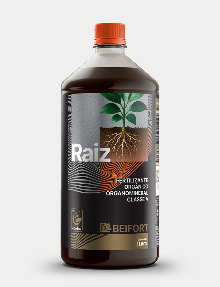 Raiz