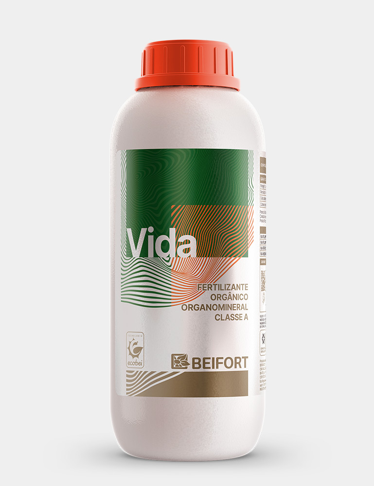 Vida
